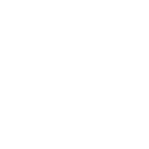 Motorola white